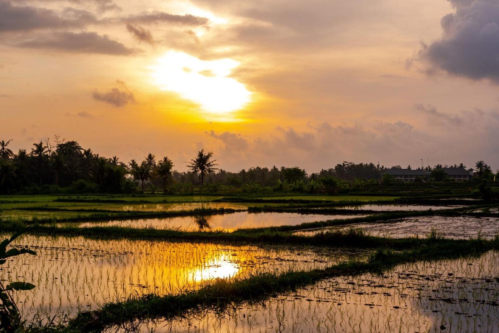 Villa Suga Estate - Rice Field View Ubud